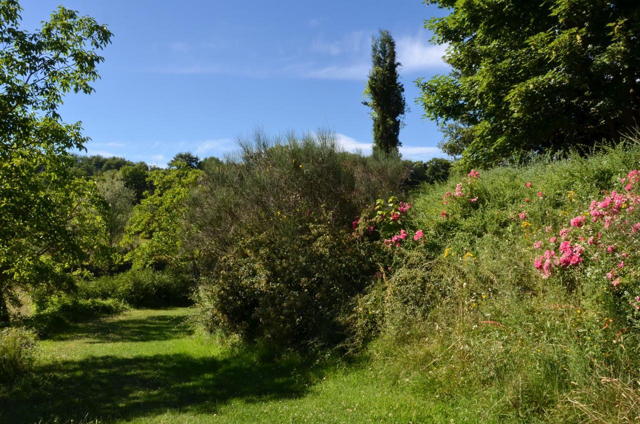 Agriturismo Villa Mozart Nel Verde Gubbio Buitenkant foto
