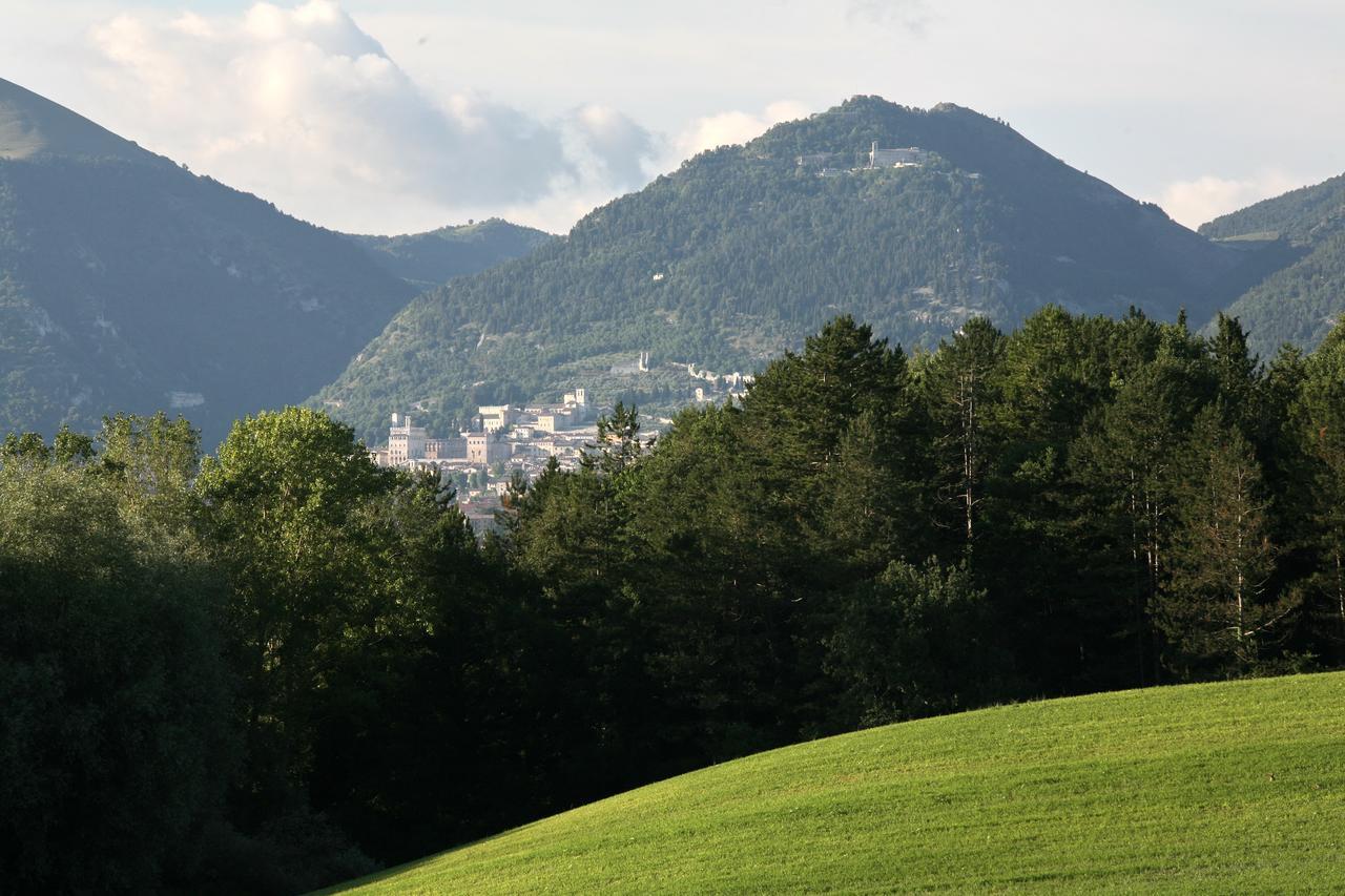 Agriturismo Villa Mozart Nel Verde Gubbio Buitenkant foto