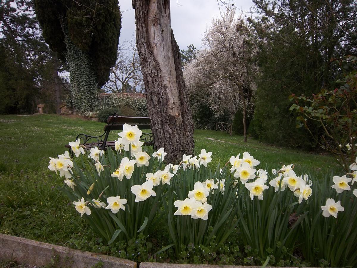 Agriturismo Villa Mozart Nel Verde Gubbio Buitenkant foto