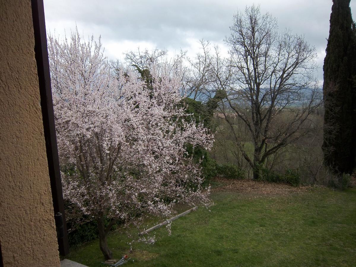 Agriturismo Villa Mozart Nel Verde Gubbio Buitenkant foto