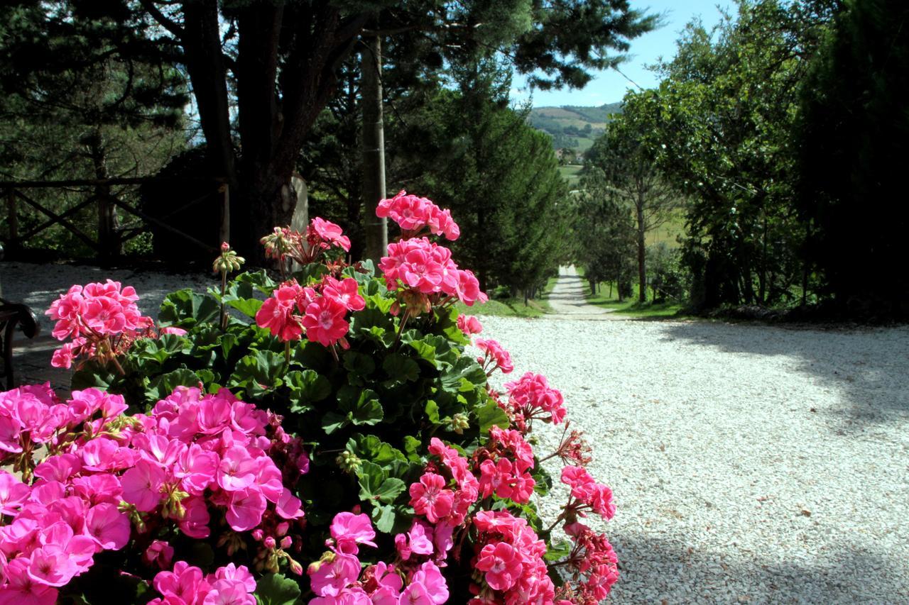 Agriturismo Villa Mozart Nel Verde Gubbio Buitenkant foto