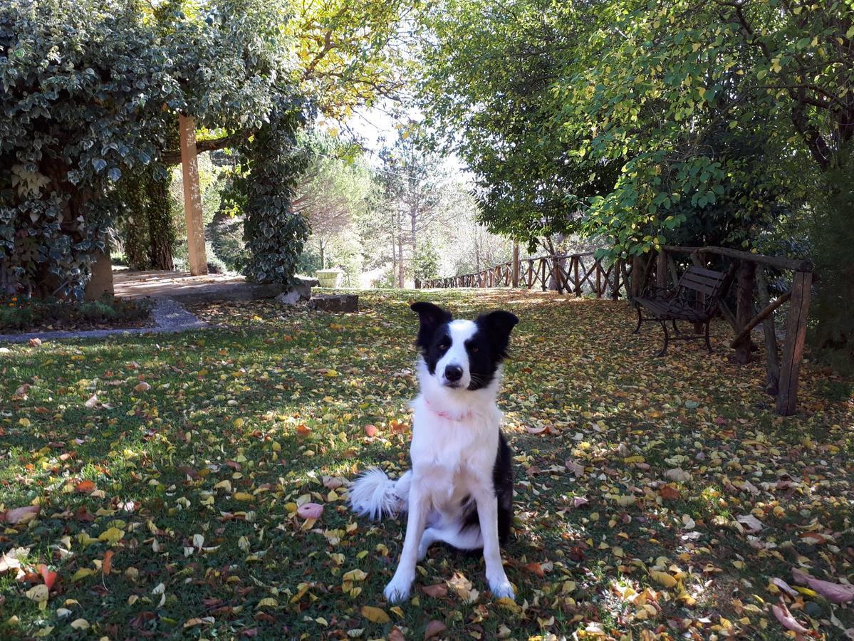 Agriturismo Villa Mozart Nel Verde Gubbio Buitenkant foto