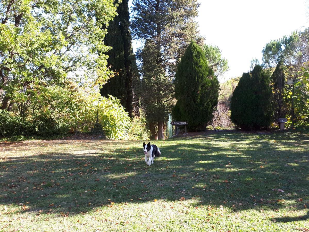 Agriturismo Villa Mozart Nel Verde Gubbio Buitenkant foto