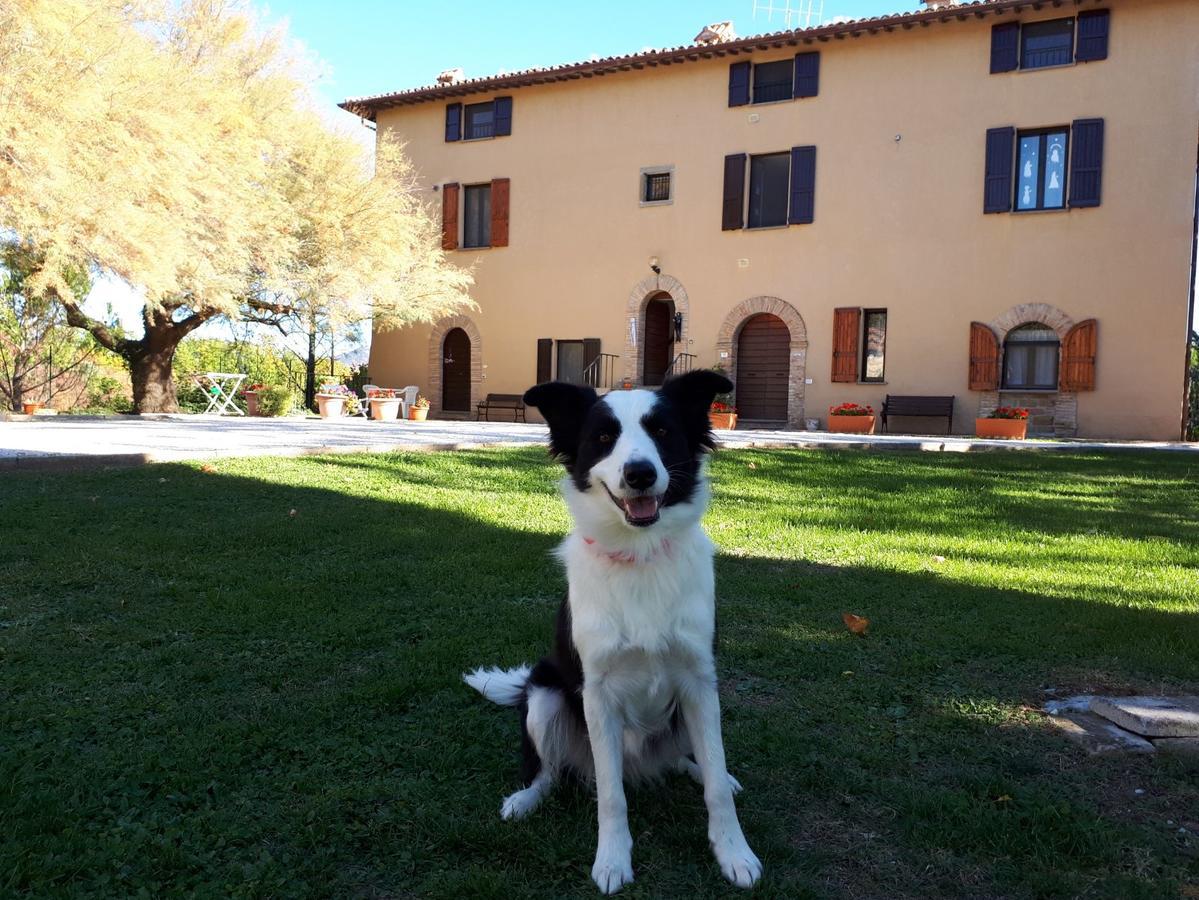 Agriturismo Villa Mozart Nel Verde Gubbio Buitenkant foto