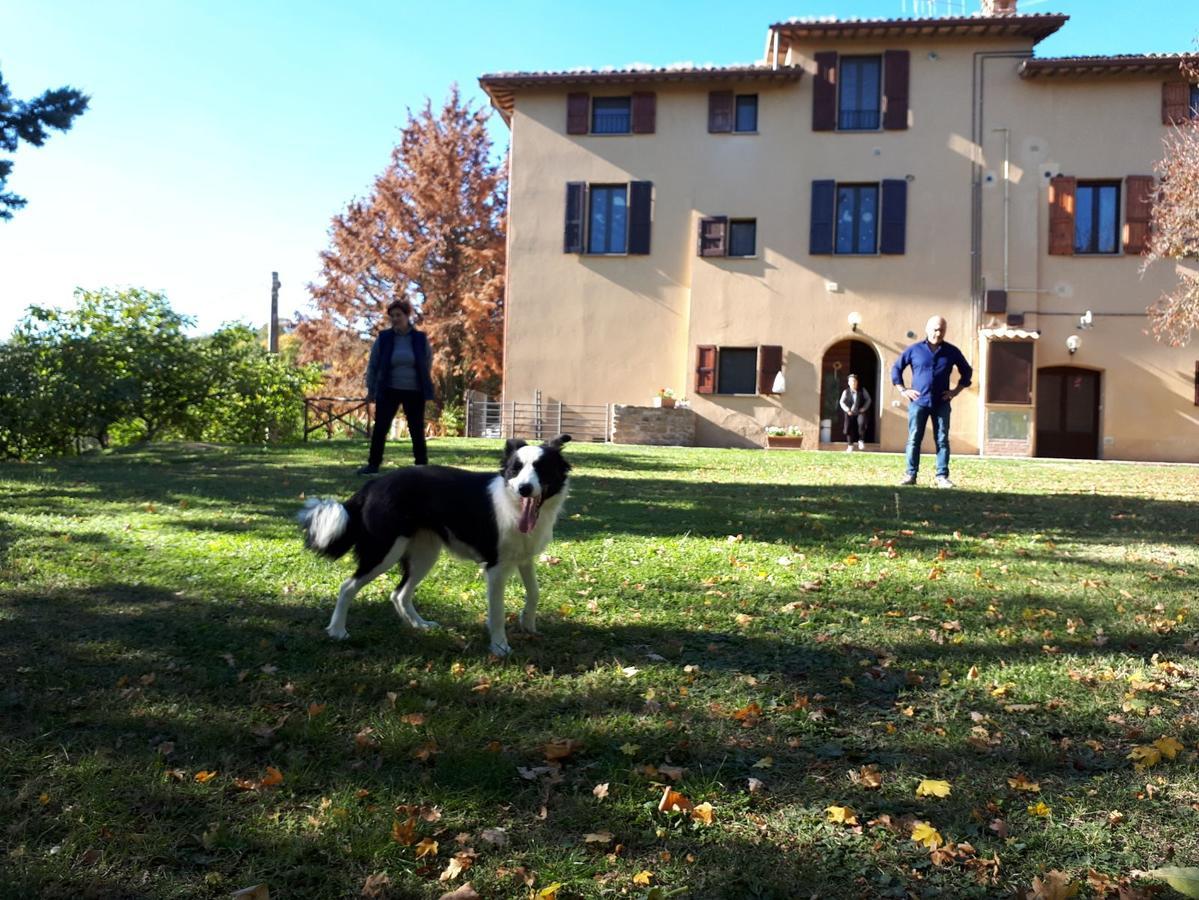 Agriturismo Villa Mozart Nel Verde Gubbio Buitenkant foto