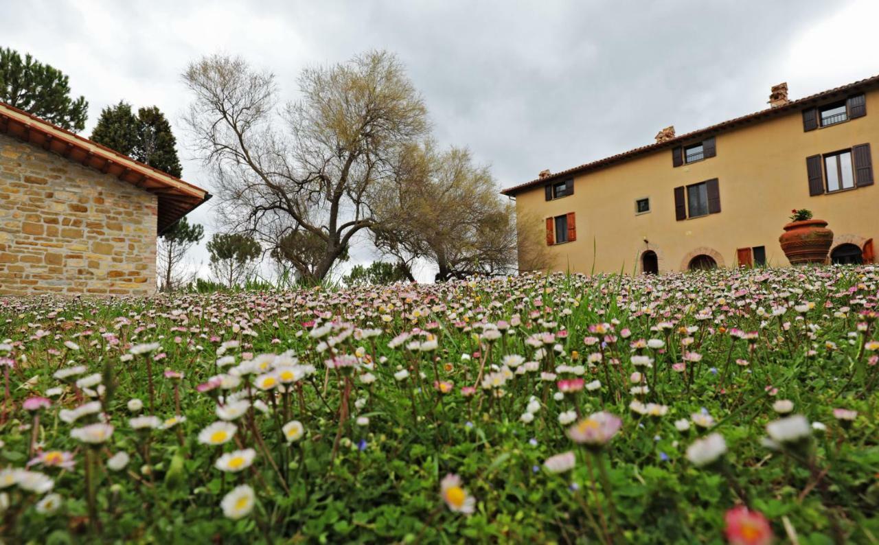 Agriturismo Villa Mozart Nel Verde Gubbio Buitenkant foto